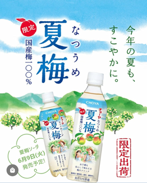 CHOYA 夏梅