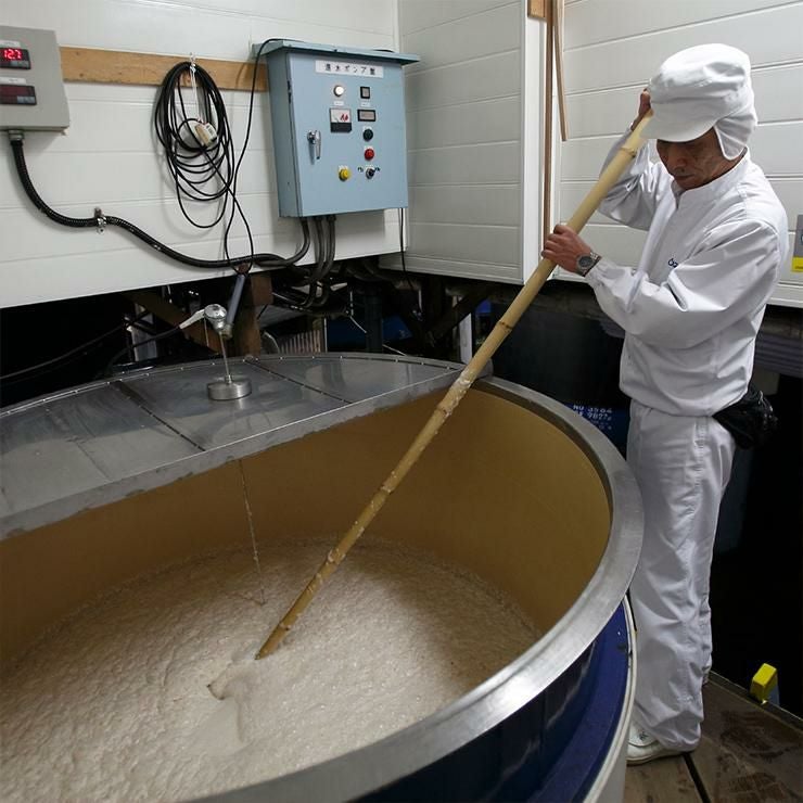 蔵元発 灘 純米酒と酒粕のパック 170g 2個 大関 日本酒