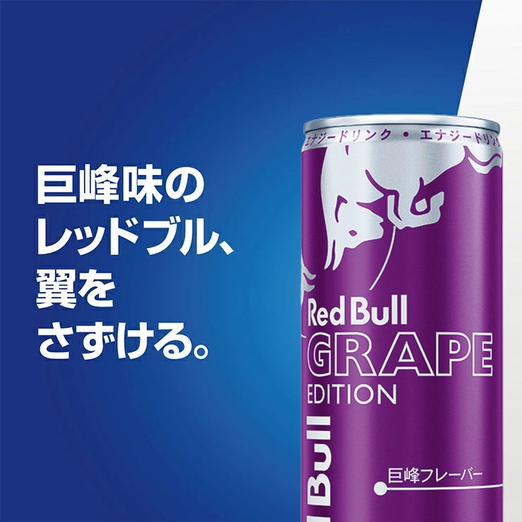  レッドブル エナジードリンク パープル エディション 250ml 72本