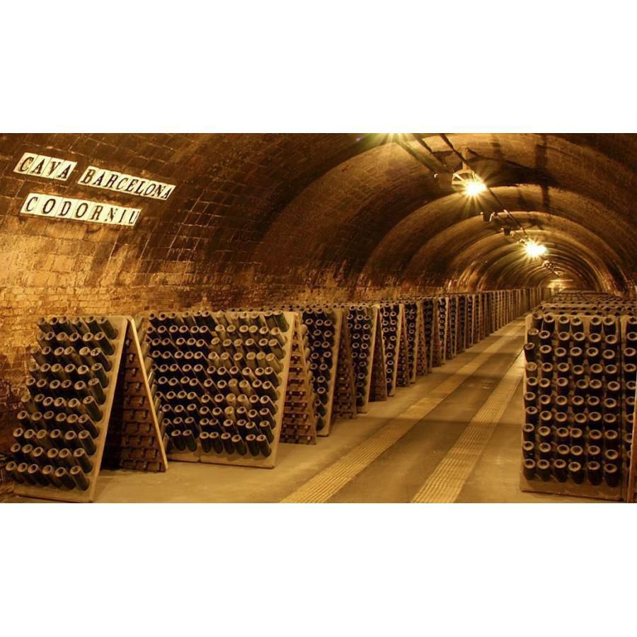 コドルニウ アナ・デ・コドルニウ ブラン・ド・ブラン スリーブボトル 750ml 6本