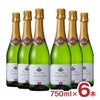 レ・ダムリエール ヴァンムスー ブリュット 750ml 6本