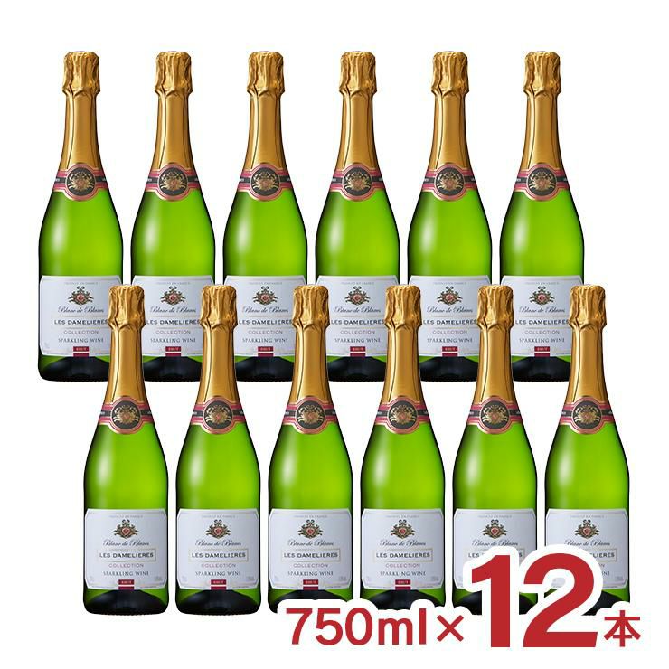  レ・ダムリエール ヴァンムスー ブリュット 750ml 12本