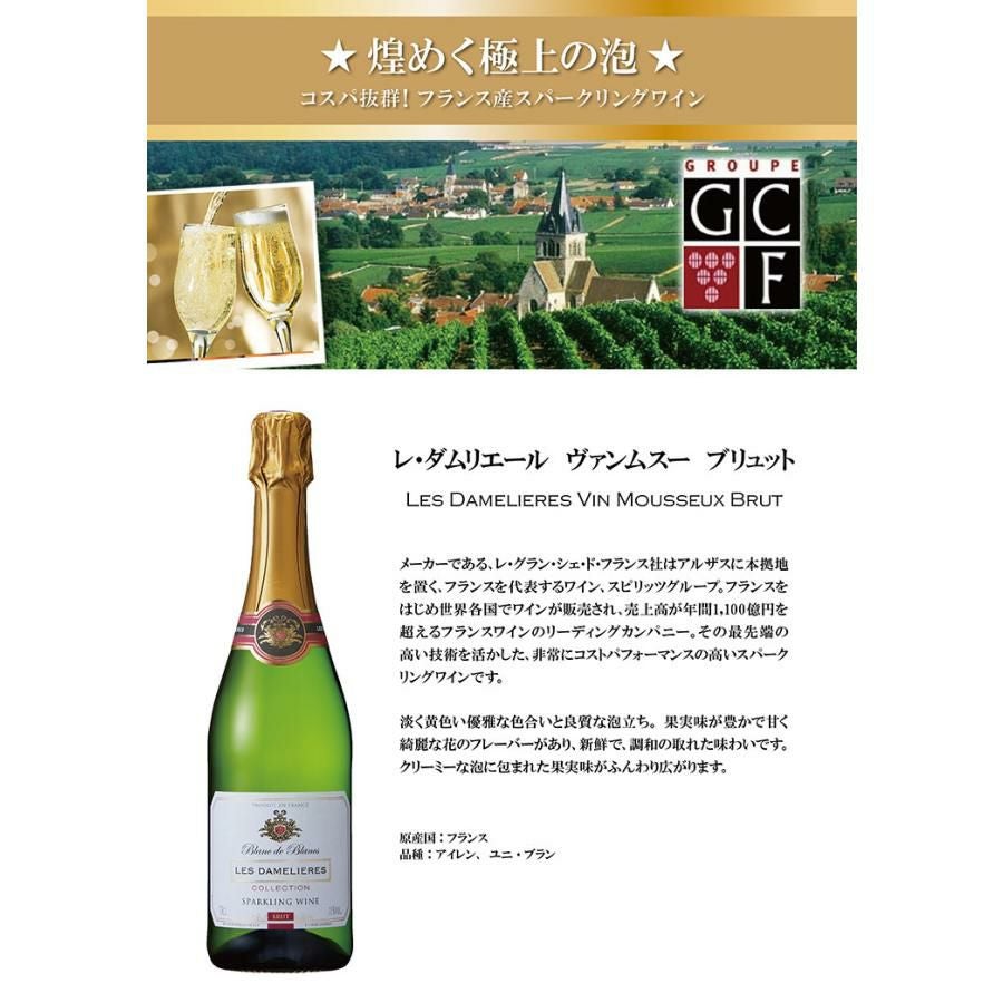  レ・ダムリエール ヴァンムスー ブリュット 750ml 12本