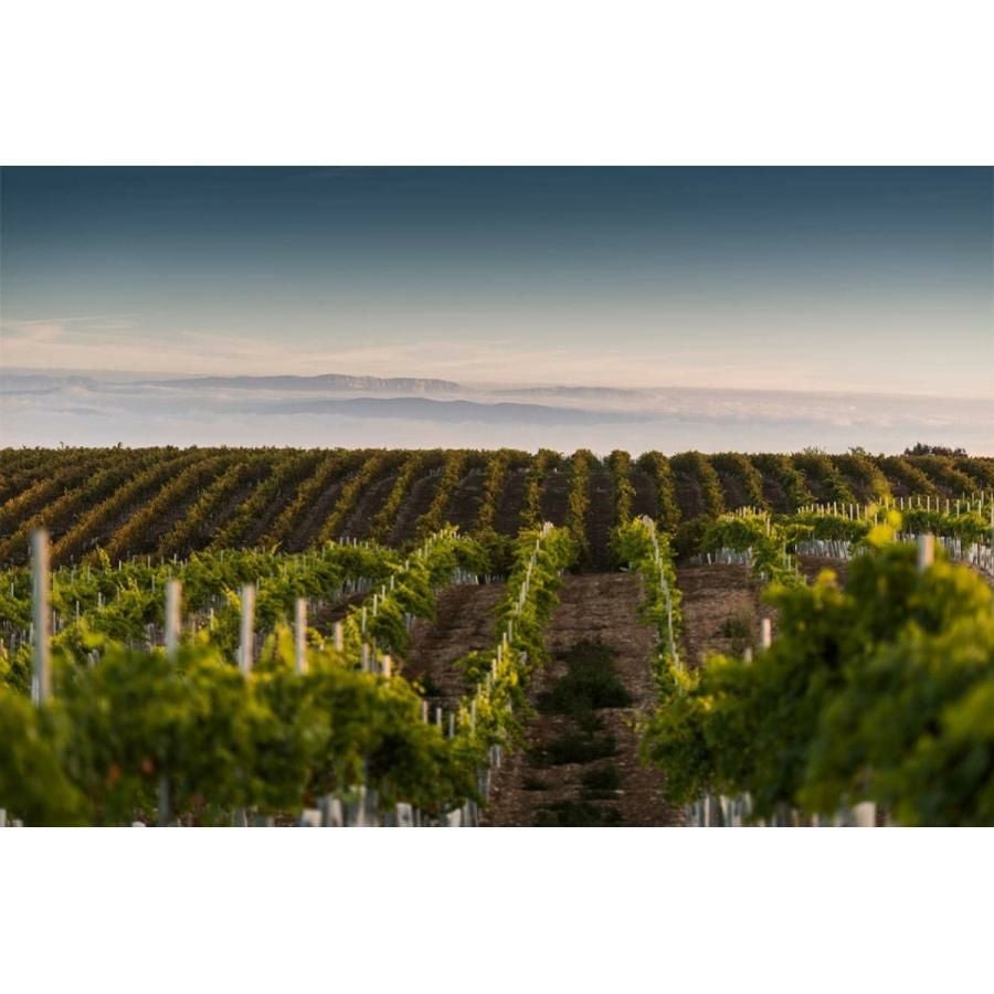 カヴァ コドルニウ 飲み比べ 750ml 5本