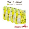 サルー シャルドネ 3000ml 4本