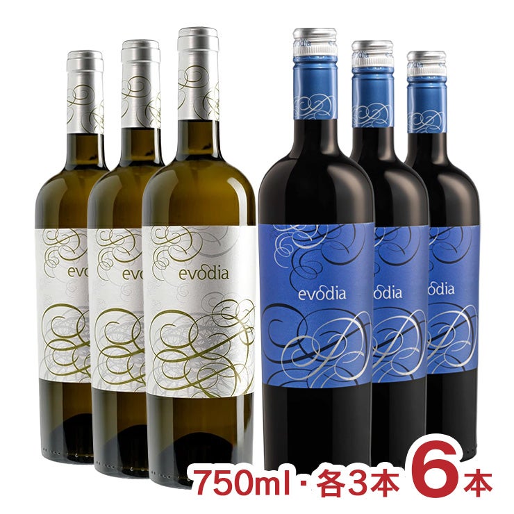 スペイン エヴォディア 赤白 セット 750ml 各3本 6本