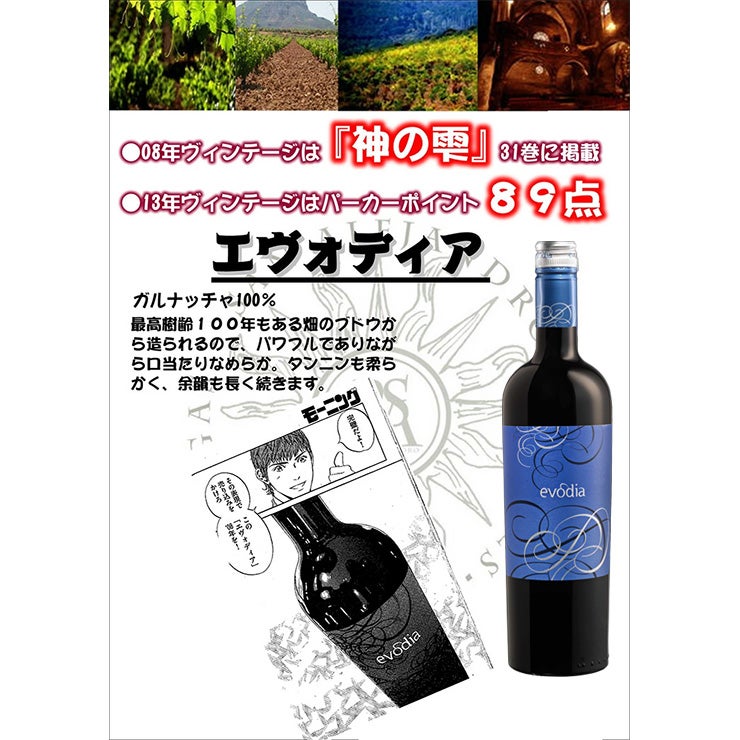 スペイン エヴォディア 赤白 セット 750ml 各3本 6本