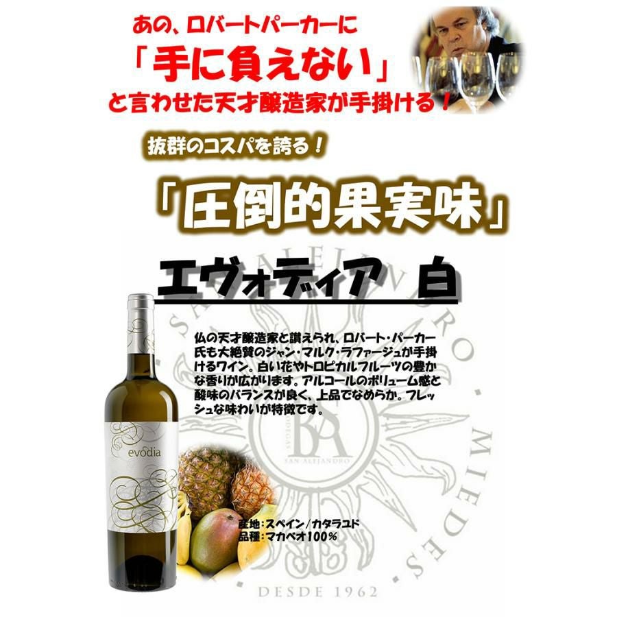 スペイン エヴォディア 赤白 セット 750ml 各3本 6本