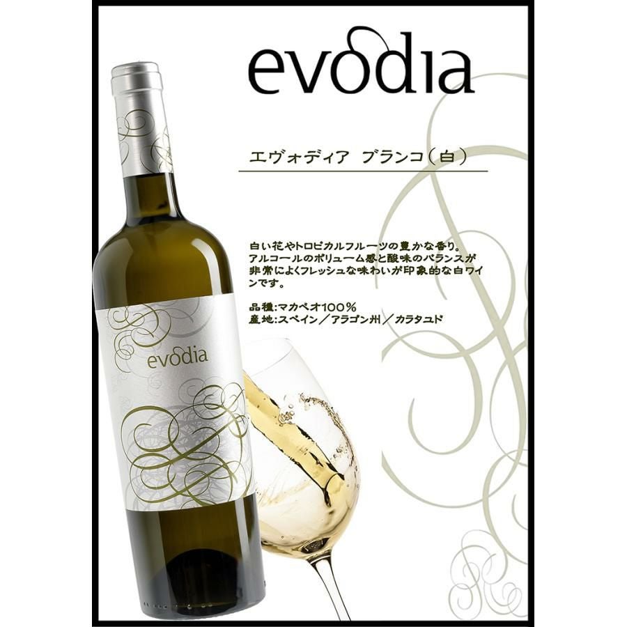 スペイン エヴォディア 赤白 セット 750ml 各3本 6本