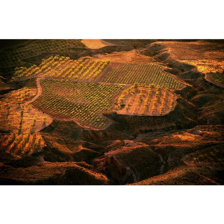 エヴォディア 赤 750ml 6本