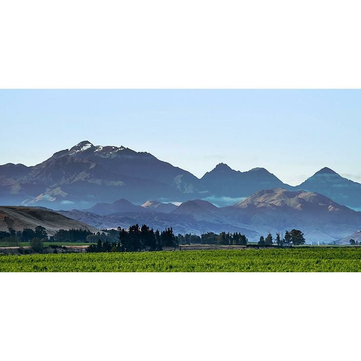  オイスターベイ マールボロ ソーヴィニヨンブラン 白ワイン 白 750ml 6本