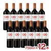 サンタリタ・エステーツ サンタ・リタ 120 カルメネール 750ml 12本