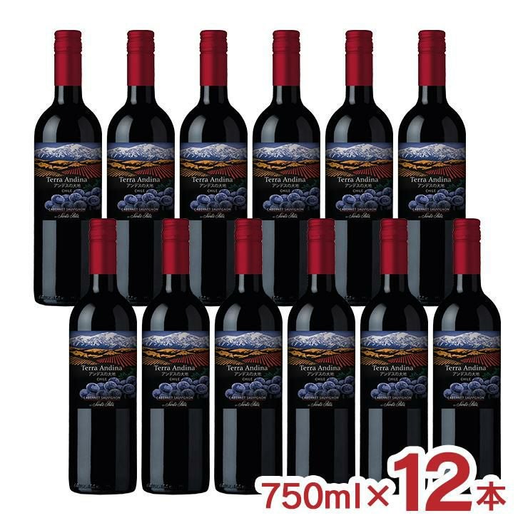 サンタリタ・エステーツ テラ・アンディーナ アンデスの大地 カベルネ・ソーヴィニヨン 750ml 12本