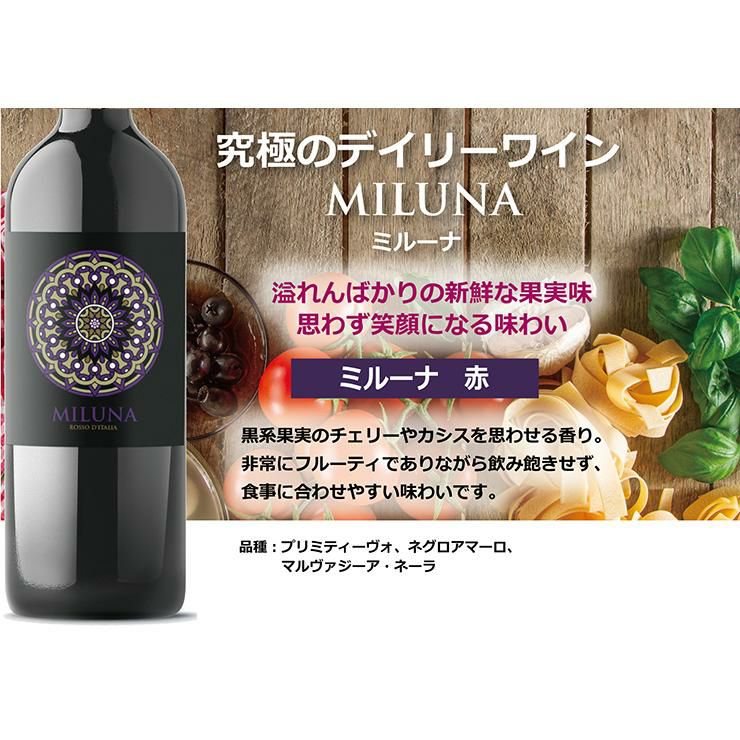 赤ワインセット 750ml 12本セット