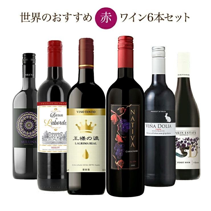 ソムリエが選ぶ 世界の赤ワイン セット 750ml 6本