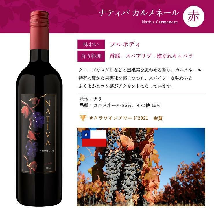 ソムリエが選ぶ 世界の赤ワイン セット 750ml 6本