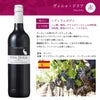 ソムリエが選ぶ 世界の赤ワイン セット 750ml 6本