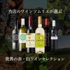 ソムリエが選ぶ 世界の赤＆白 ワインセット 750ml 6本