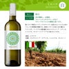 ソムリエが選ぶ 世界の赤＆白 ワインセット 750ml 6本