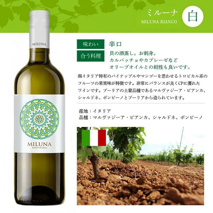 ソムリエが選ぶ 世界の赤＆白 ワインセット 750ml 6本