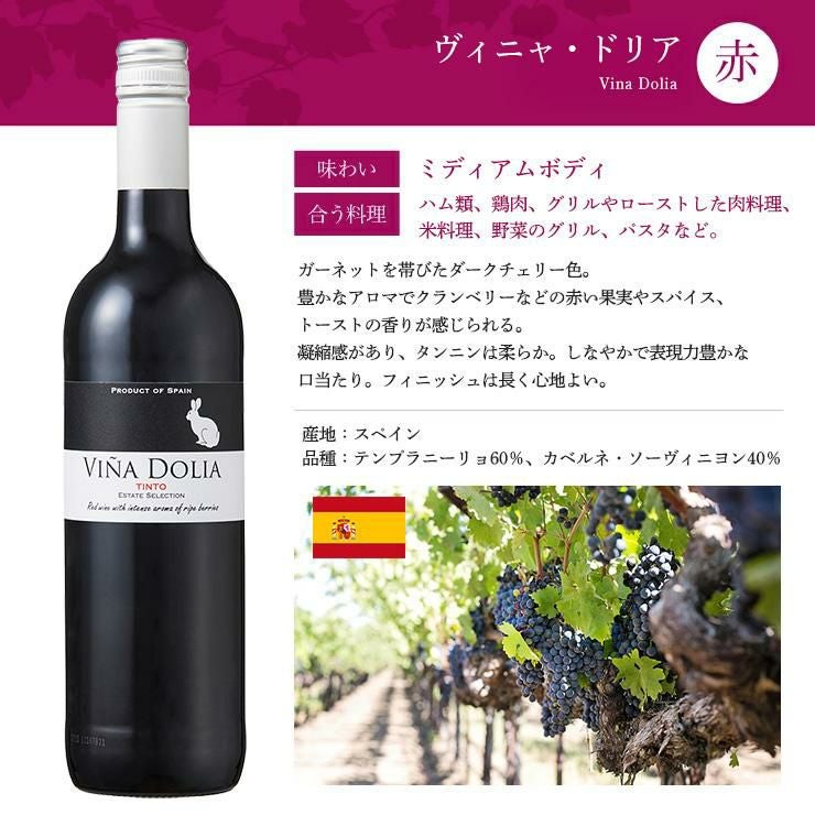 ソムリエが選ぶ 世界の赤＆白 ワインセット 750ml 6本