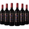 チリ最古のカルメネール ナティバ カルメネール 赤ワイン ミディアムボディ チリ 750ml 6本