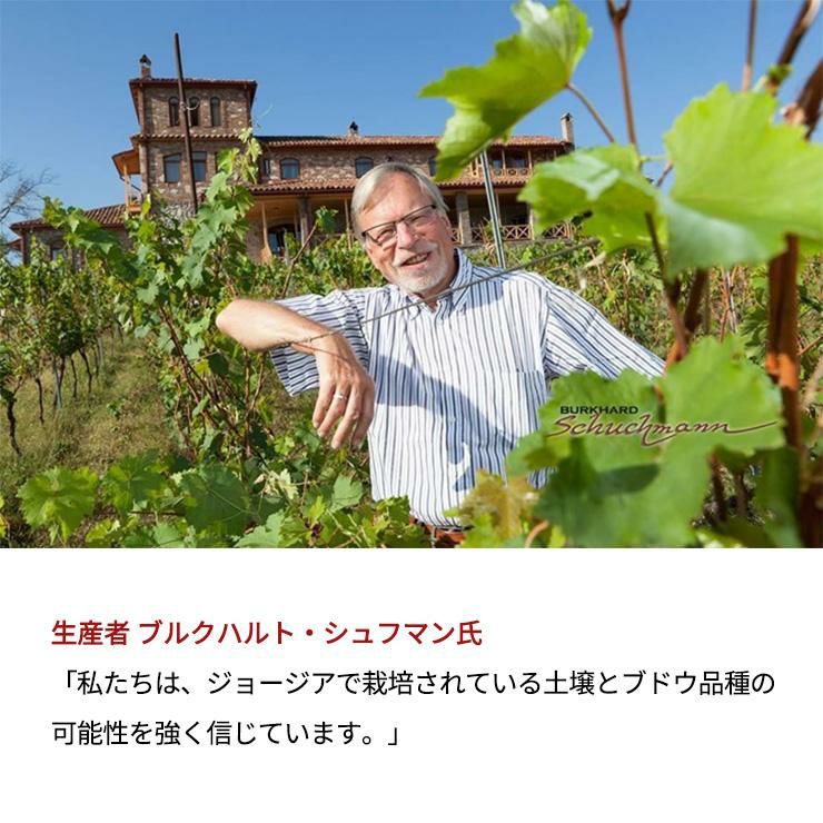 ワイン発祥の地 ジョージアワイン シュフマン 6本セット