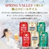 キリン SPRING VALLEY BREWERY 6本セット 350ml 3種