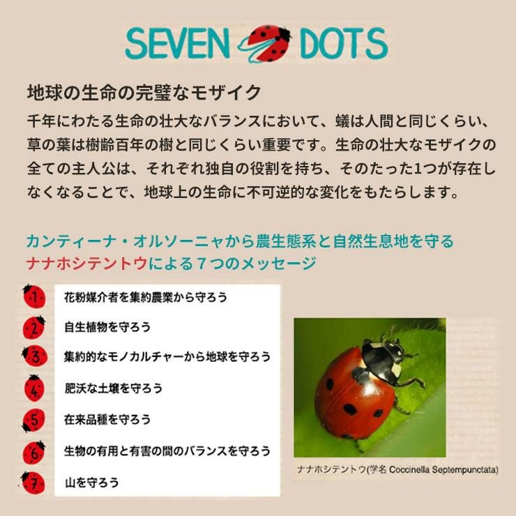 セブン・ドッツ ピノ・グリージョIGP 1本 750ml