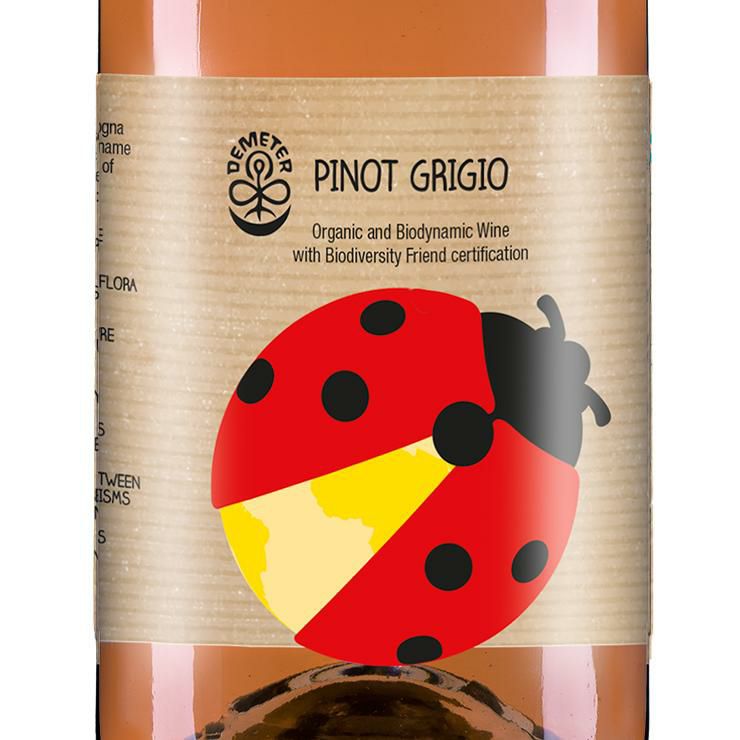 セブン・ドッツ ピノ・グリージョIGP 1本 750ml