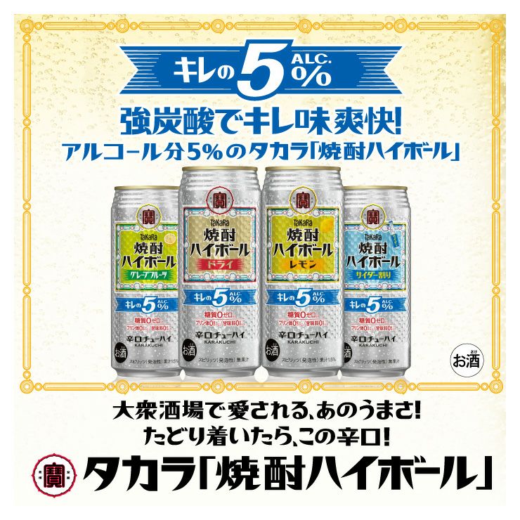 宝酒造 タカラ 焼酎ハイボール5° 特製サイダー割り 500ml 24本