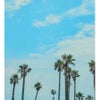 チェジュ ウィットエール 355ml 缶 6本