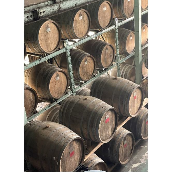麦焼酎 大島酒造 本格焼酎 529 麦 20度 720ml 12本 