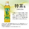 特茶 サントリー 伊右衛門 緑茶 500ml 48本