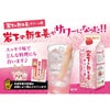 岩下の新生姜サワーの素 500ml 12本
