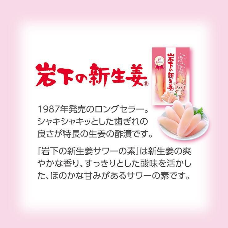 岩下の新生姜サワーの素 500ml 12本