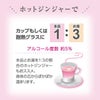 岩下の新生姜サワーの素 500ml 12本