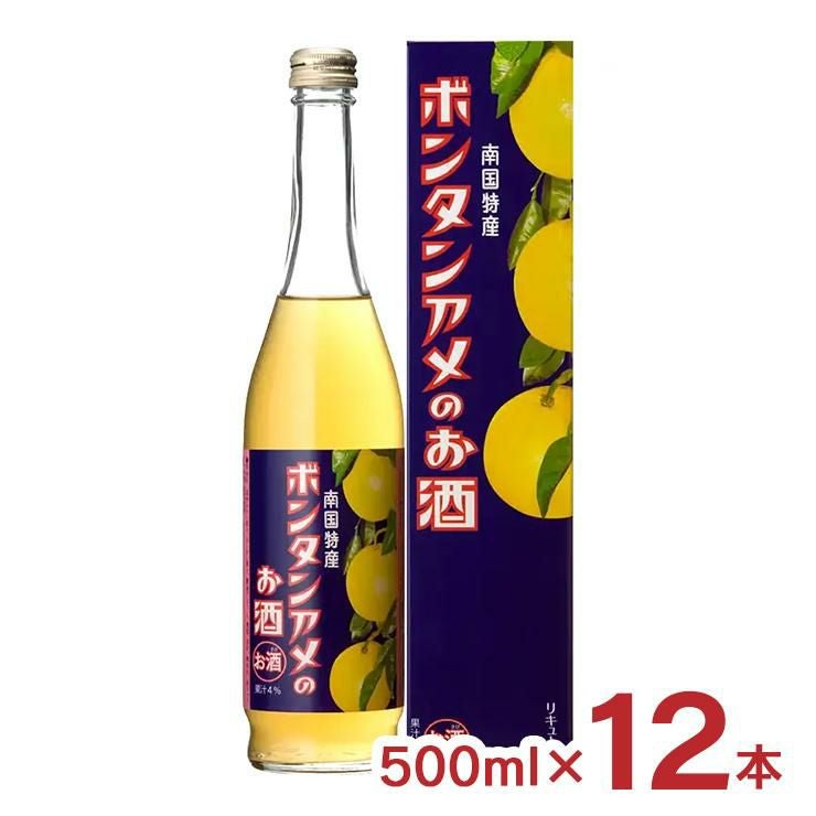 本坊酒造 ボンタンアメのお酒 500ml 12本 
