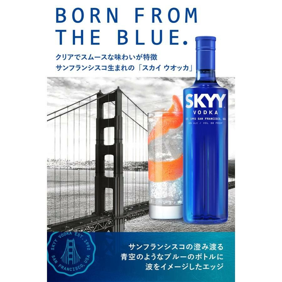 ウォッカ スカイ ウオッカ イタリア 750ml 6本 