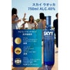 ウォッカ スカイ ウオッカ イタリア 750ml 6本 