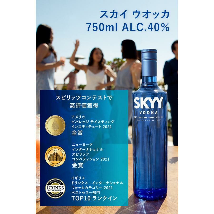 ウォッカ スカイ ウオッカ イタリア 750ml 6本 