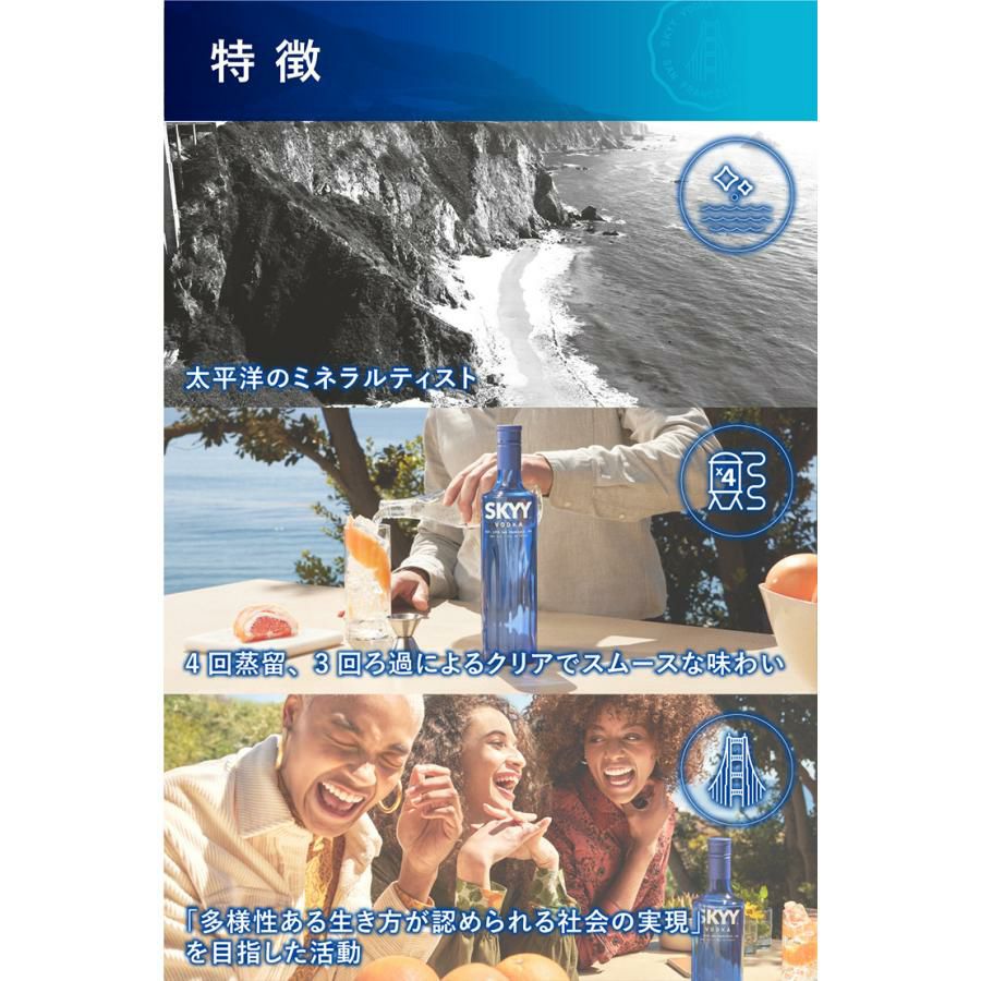 ウォッカ スカイ ウオッカ イタリア 750ml 6本 