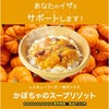 ホリカフーズ レスキューフーズ 一食ボックス かぼちゃスープリゾット 580g 12個