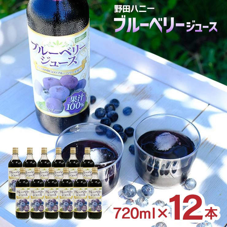 野田ハニー ブルーベリー100％ジュース