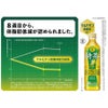 特茶 サントリー 伊右衛門 緑茶 500ml 20本 ＋お試し4本