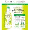久米仙 岡山県産 シャインマスカットサワーの素 500ml 3本