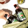 シュマッツ ボトルビールIPA 330ml 12本 Schmatz ドイツビール