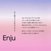  花から造るお酒 【セット】Enju TSUTSUJI SAKURA 500ml 2本