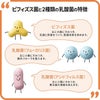 大正製薬 新ビオフェルミンS錠 48錠