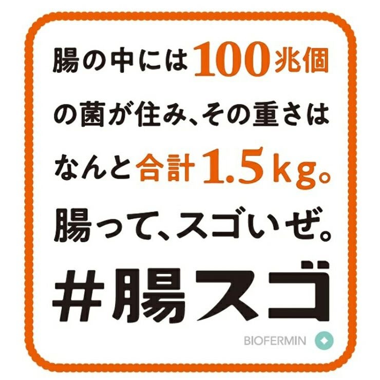 大正製薬 新ビオフェルミンS錠 48錠